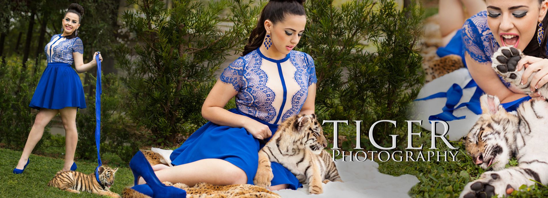 fotos de quinceanera tema tigre