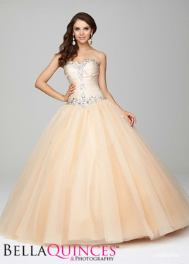 allure Q460F Champ bellaquinces photography