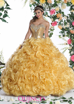 80261AL qbyvinci gold bella quinces photography